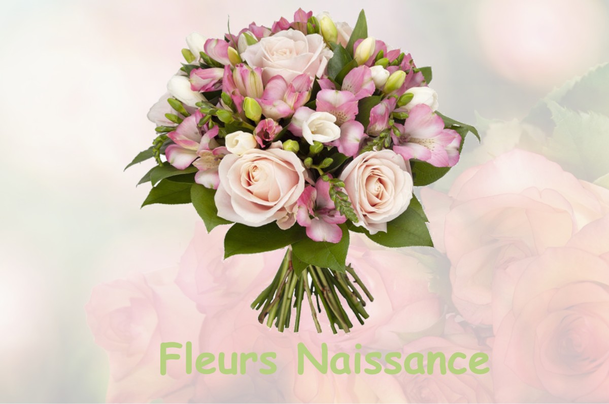 fleurs naissance PITHIVIERS-LE-VIEIL