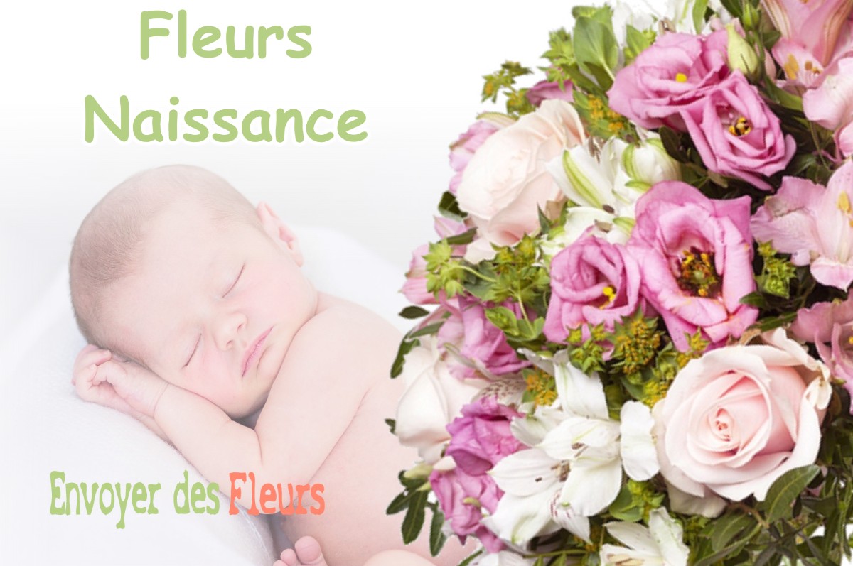 lIVRAISON FLEURS NAISSANCE à PITHIVIERS-LE-VIEIL